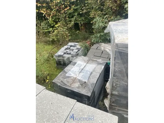 Grote partij klinkers - afbeelding 6 van  6