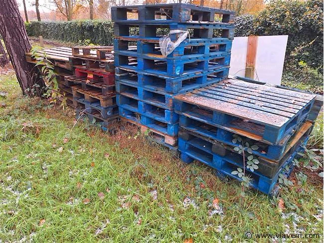 Grote partij palletten - afbeelding 5 van  6