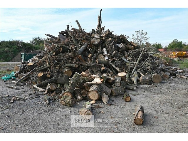 Grote partij stookhout - afbeelding 1 van  4