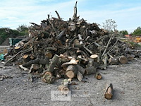 Grote partij stookhout - afbeelding 1 van  4