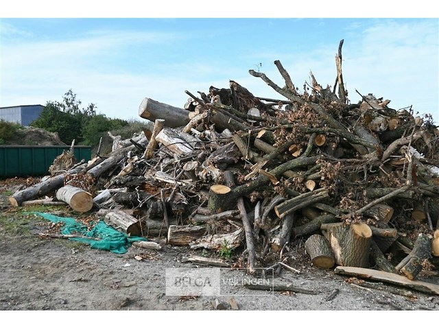 Grote partij stookhout - afbeelding 2 van  4