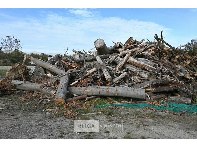 Grote partij stookhout - afbeelding 3 van  4