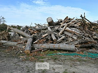 Grote partij stookhout - afbeelding 3 van  4