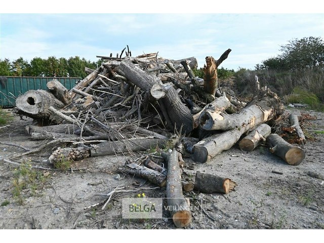 Grote partij stookhout - afbeelding 4 van  4