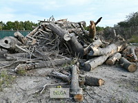 Grote partij stookhout - afbeelding 4 van  4