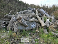 Grote partij stookhout - afbeelding 1 van  1