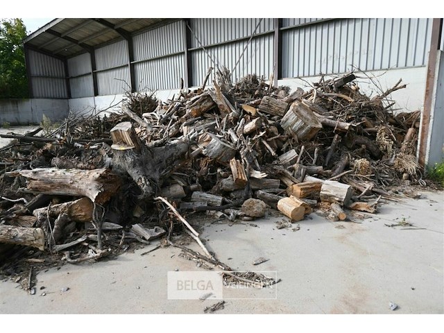 Grote partij stookhout - afbeelding 1 van  2