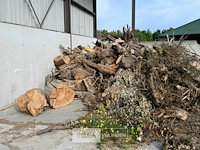 Grote partij stookhout - afbeelding 2 van  2