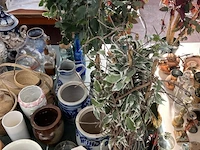 Grote partij vazen, decoratie en bloempotten - afbeelding 32 van  36