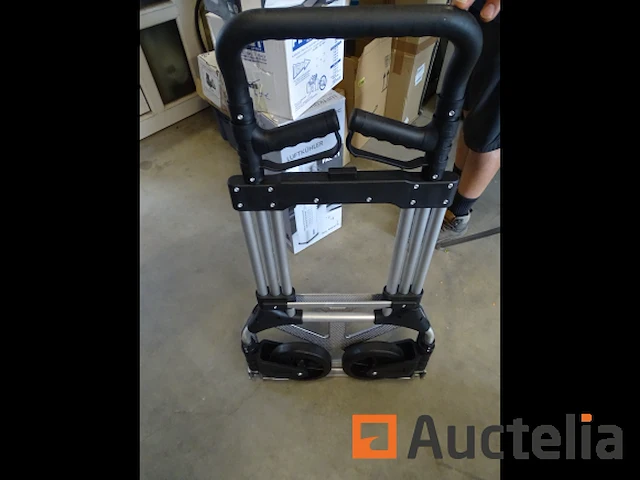 Grote stier 200 kg telescopische vouwwagen - afbeelding 3 van  5