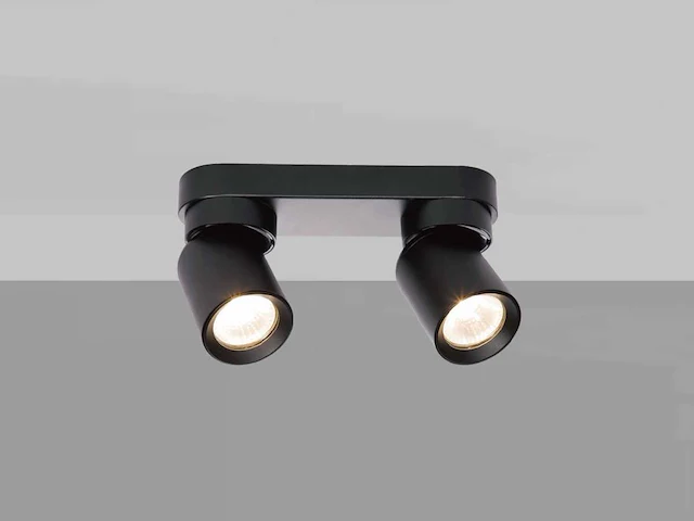 Gu10 opbouwspot armatuur duo draaibaar (16x) - afbeelding 4 van  6