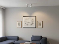 Gu10 opbouwspot armatuur duo draaibaar (8x) - afbeelding 2 van  6