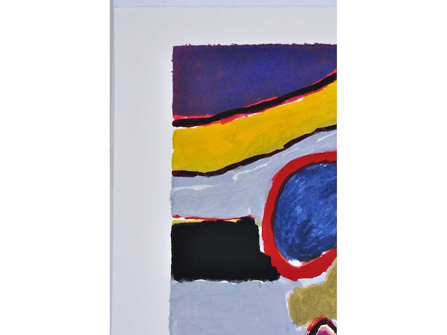 Guillaume corneille - kleurenzeefdruk - 1/130 - afbeelding 5 van  8