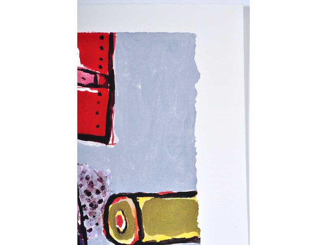 Guillaume corneille - kleurenzeefdruk - 1/130 - afbeelding 6 van  8