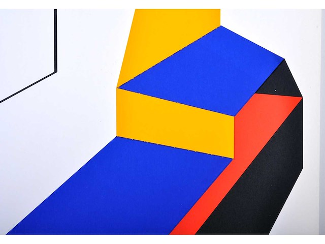 Guy vandenbranden - exodus - zeefdruk - afbeelding 7 van  9