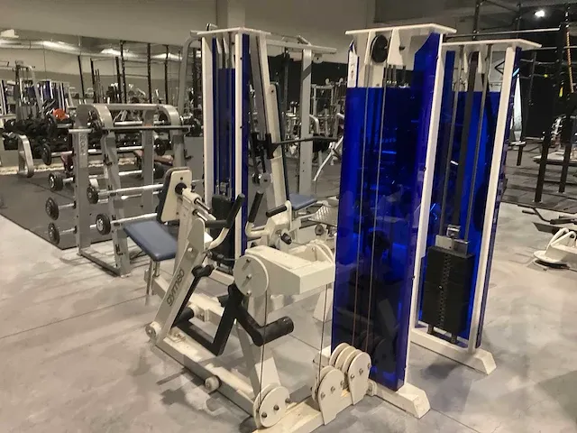Gym80 rugspiertrainer - afbeelding 2 van  5