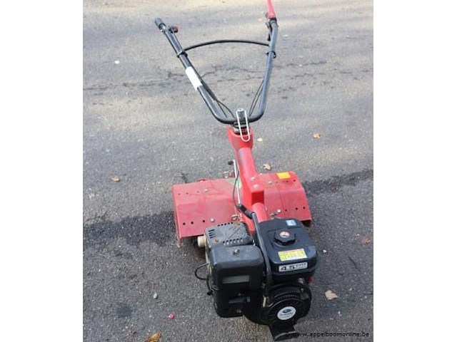 Hakfrees meccanica benassi - afbeelding 1 van  4