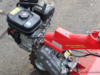 Hakfrees meccanica benassi - afbeelding 4 van  4