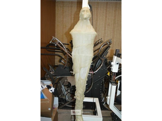 Halloween deco geraamte met licht - afbeelding 1 van  3