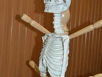 Halloween deco geraamte - afbeelding 2 van  4
