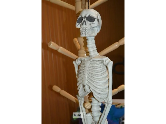 Halloween deco geraamte - afbeelding 3 van  4