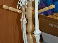 Halloween deco geraamte - afbeelding 4 van  4