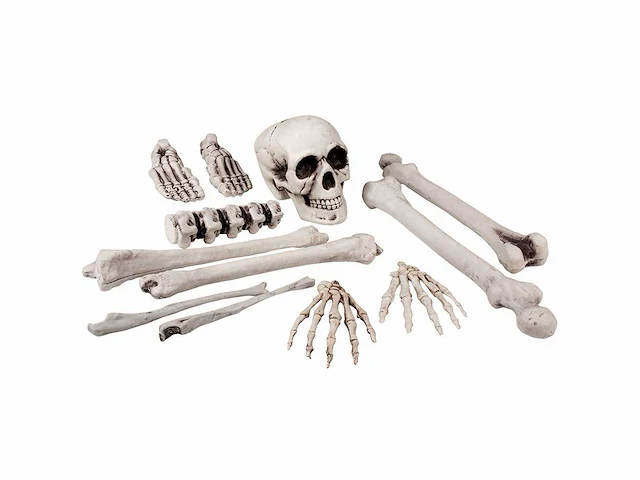 Halloween decoratie - skeletten, grafzerken & ongedierte (209x) - afbeelding 6 van  6