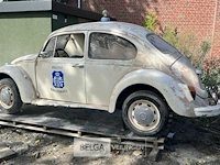 Halve kever - afbeelding 2 van  5