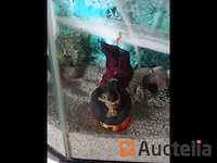 Halve maan gewelfd aquarium - afbeelding 3 van  11