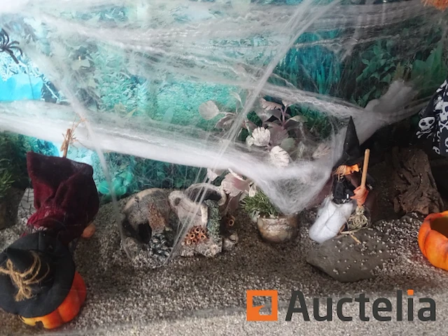 Halve maan gewelfd aquarium - afbeelding 6 van  11