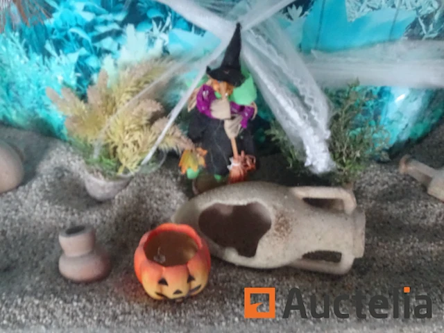 Halve maan gewelfd aquarium - afbeelding 7 van  11