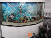 Halve maan gewelfd aquarium - afbeelding 8 van  11