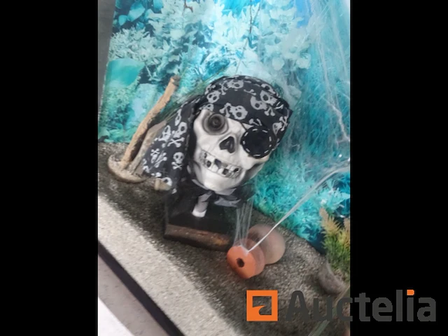 Halve maan gewelfd aquarium - afbeelding 9 van  11
