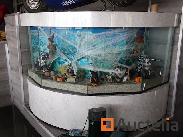 Halve maan gewelfd aquarium - afbeelding 10 van  11