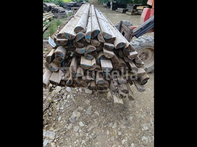 Halve stammen 4 m diameter 10 - afbeelding 2 van  4