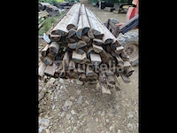 Halve stammen 4 m diameter 10 - afbeelding 2 van  4