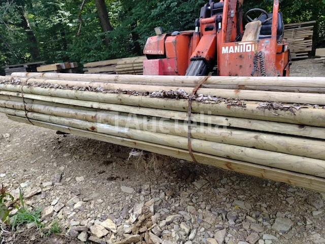 Halve stammen 4 m diameter 10 - afbeelding 3 van  4