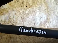 Hambresin designstoel - afbeelding 4 van  4