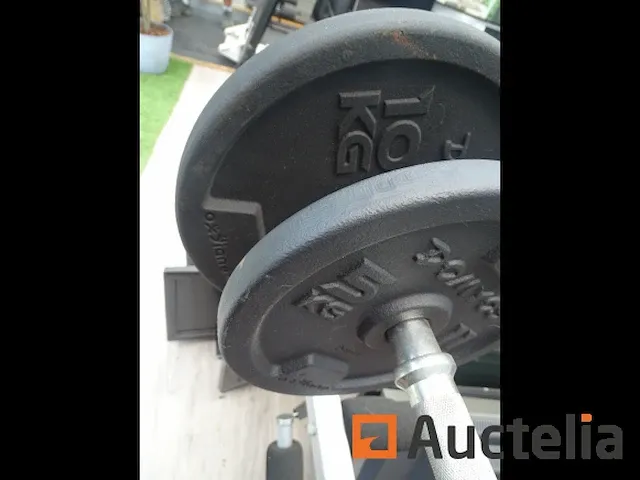 Hammer gewicht bank met dumbbells - afbeelding 4 van  9