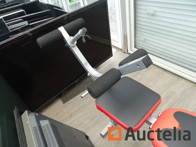 Hammer gewicht bank met dumbbells - afbeelding 5 van  9