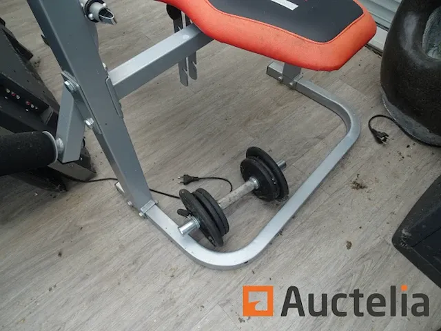 Hammer gewicht bank met dumbbells - afbeelding 6 van  9
