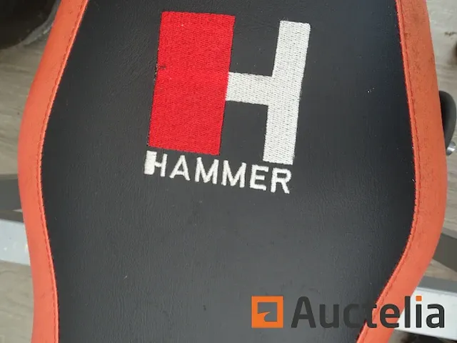 Hammer gewicht bank met dumbbells - afbeelding 7 van  9