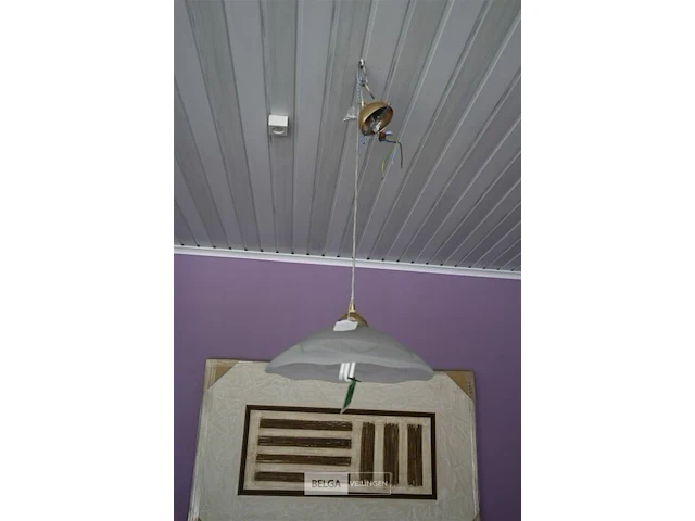 Hanglamp - afbeelding 1 van  2