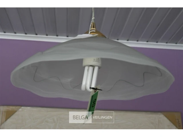 Hanglamp - afbeelding 2 van  2