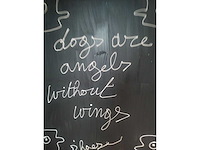 Hannes d'haese lyrics “dog's are angels” - afbeelding 1 van  3