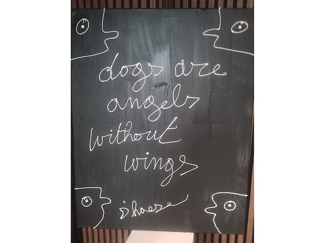 Hannes d'haese lyrics “dog's are angels” - afbeelding 2 van  3