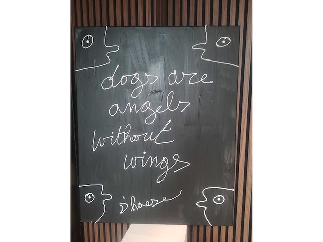 Hannes d'haese lyrics “dog's are angels” - afbeelding 3 van  3