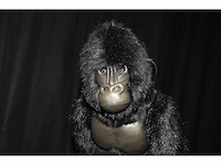Hanza creations partij decoratie plunchen dieren - afbeelding 8 van  32