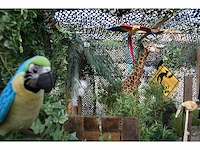 Hanza creations partij decoratie plunchen dieren - afbeelding 20 van  32