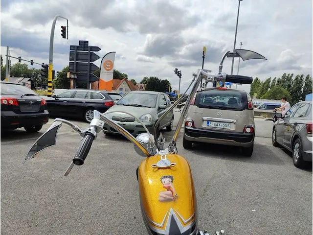 Harley davidson costum built - afbeelding 2 van  55
